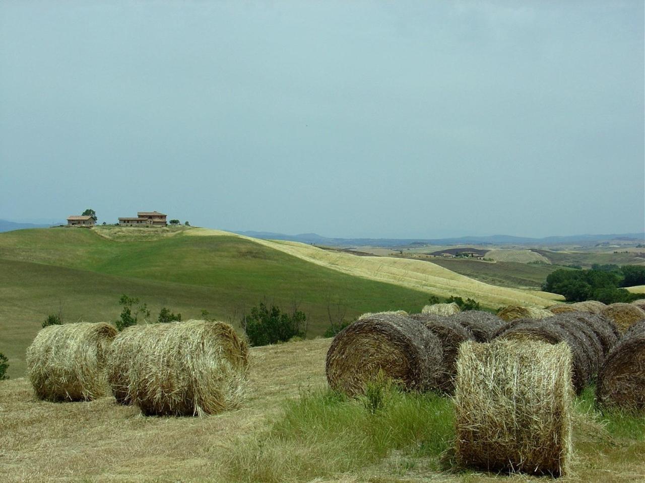 Tenuta Di Corsano Monteroni dʼArbia Exterior foto